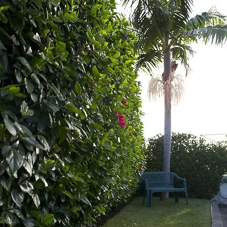 Maria Appartement Funchal (Madeira)