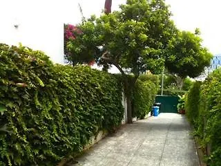 Maria * Funchal (Madeira)